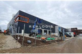 Gewerbeimmobilie mieten in 61449 Steinbach, Ca. 5.000 m² Logistik-/Produktionsneubau - 10,50 m UKB - WGK 3