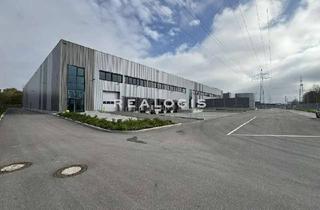Gewerbeimmobilie mieten in 67227 Frankenthal, Neubau - Teilbare Fläche - Logistik / Produktion
