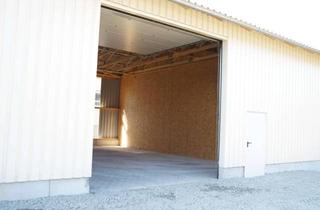 Gewerbeimmobilie mieten in Eichfeldstraße 34-38, 94486 Osterhofen, Lagerhalle 123 qm, BJ 2014, 4,32 m Innenhöhe mit großem 4x4 m Einfahrtstor