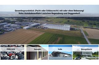 Gewerbeimmobilie mieten in 94377 Steinach, Option: Wir bauen Ihre Wunschimmobilie - Teilbar ab 2.000 m² geeignet für Halle, Handel, etc