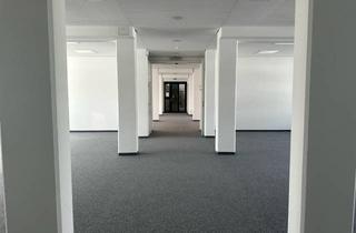 Büro zu mieten in 55130 Mainz, Groß denken beginnt hier: 1.037 m² Freiraum für die Arbeitswelt von morgen