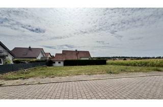 Grundstück zu kaufen in 74906 Bad Rappenau, Toller Bauplatz - Ideal in Feldrandlage
