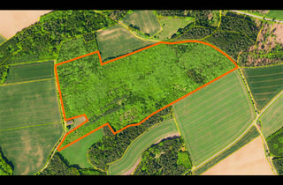 Immobilie kaufen in 96142 Hollfeld, Große Waldfläche zum Verkauf - Etwa 13,1 ha Fläche in Hollfeld Gemarkung Drosendorf