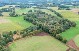 Immobilie kaufen in 48527 Nordhorn, Grünlandflächen in Nordhorn zu verkaufen - Gegen Gebot