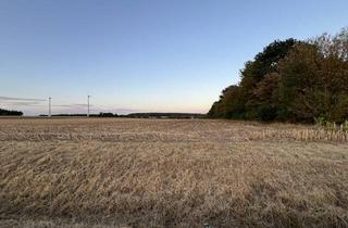 Immobilie kaufen in 91452 Wilhermsdorf, Landwirtschaftliche Nutzfläche zum Höchstgebot - Gemarkung Wilhermsdorf -