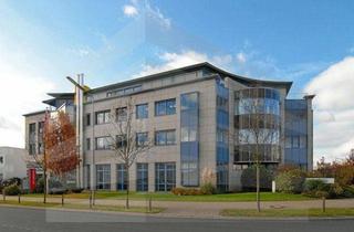 Gewerbeimmobilie mieten in 64546 Mörfelden-Walldorf, KLE!N - Provisionsfrei - Moderne und flexible Büroeinheiten