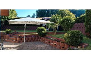 Wohnung kaufen in 69509 Mörlenbach, Mörlenbach - Helle 4-Zimmer Wohnung mit Terrasse und Garten in ruhiger Lage.