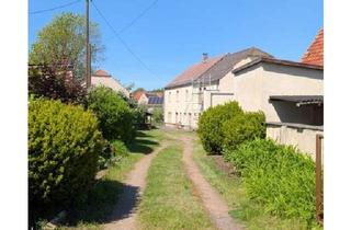 Haus kaufen in 01471 Radeburg, Radeburg - Großzügiges Grundstück in bester Lage mit Haus