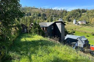 Mehrfamilienhaus kaufen in 96523 Steinach, Steinach - Provisionsfrei Mehrfamilienhaus am Waldrand mit Weitblick