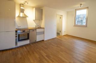 Wohnung mieten in 88131 Lindau, 1 Zimmer Apartment Wohnung EG Lindau Reutin