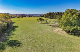 Grundstück zu kaufen in 78713 Schramberg, Großzügiges Grundstück mit vielfältigen Möglichkeiten für Ihr neues Zuhause