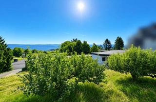Mehrfamilienhaus kaufen in 35753 Greifenstein, Projektentwicklung mit Weitblick - ehemalige Pension zur Umnutzung in attraktives Mehrfamilienhaus!