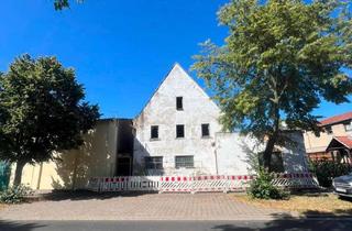 Mehrfamilienhaus kaufen in 04349 Plaußig-Portitz, Sanierungsbedürftiges denkmalgeschütztes Mehrfamilienhaus in Leipzig OT Plaußig mit Afa-Möglichkeit