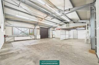Büro zu mieten in 74906 Bad Rappenau, Gewerbehalle mit Bürotrakt, Rampe, Tor- Zufahrt, Starkstrom und Stellplätzen