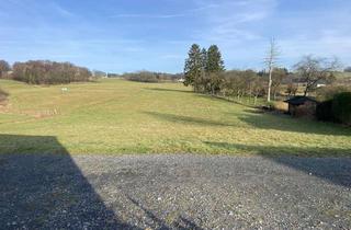 Grundstück zu kaufen in Zum Heppenberg 10, 53567 Buchholz, Sonniges Baugrundstück in Ortsrandlage - sofort bebaubar ...