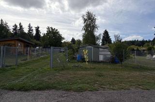 Grundstück zu kaufen in 75181 Huchenfeld, Freizeitgrundstück / Freizeitgarten / Gartengrundstück