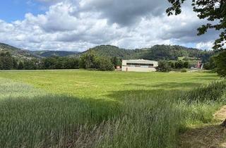 Gewerbeimmobilie kaufen in 96529 Mengersgereuth-Hämmern, Gewerbegrundstück in Frankenblick / Mengersgereuth-Hämmern direkt an der B89