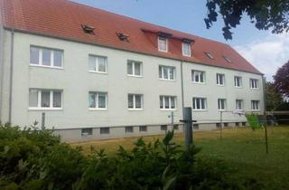 Wohnung mieten in Brunnenstr., 18279 Langhagen, Hell, Ruhig, 3-Zimmer, Saniert, faire Miete, mit Renovierungszuschuss!