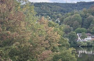 Wohnung mieten in 69118 Ziegelhausen, Möbilierte, helle 2-Zimmerwohnung mit Neckarblick