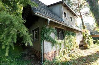 Haus kaufen in Birkensteg, 16348 Wandlitz, Heinze-Immobilien(IVD): Sanierungsobjekt auf Waldgrundstück in Wandlitz-Stolzenhagen