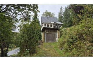 Haus kaufen in 96355 Tettau, Waldhaus zur Fertigstellung der Sanierung mit Garage und großem Garten