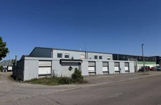 Büro zu mieten in Werner-Vom-Siemens-Str. 32, 76694 Forst, Halle ca. 2.500 m² + 6.000 m² Freifläche + Büros + Mitarbeiterwohnen – 900m zur A5