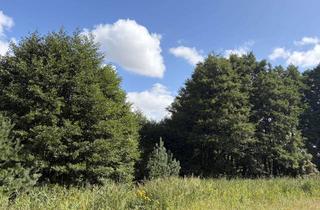 Gewerbeimmobilie kaufen in 19406 Sternberg, ca. 10 ha Naturfläche Holzung in MV!