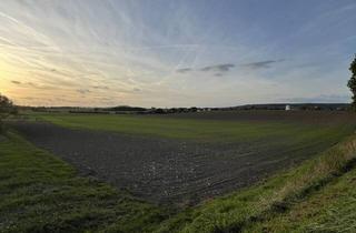Immobilie kaufen in 91460 Baudenbach, Landwirtschaftliche Nutzflächen - Gemarkung Hambühl - nach Höchstgebot!