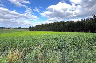 Immobilie kaufen in 84416 Taufkirchen, 3,7748 ha Landwirtschaftliche Fläche