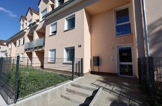Wohnung kaufen in 38440 Hohenstein, Provisionsfreie Neubau-Erdgeschosswohnung mit Garten in Citynähe