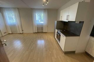 Wohnung mieten in 88339 Bad Waldsee, 1,5-Zimmer-Apartment in Bad Waldsee