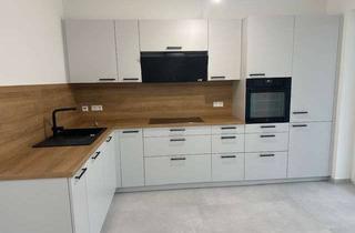 Wohnung mieten in Goethestr. 1b, 74855 Haßmersheim, Moderner Erstbezug im Erdgeschoss – 3-Zimmer-Wohnung mit überdachter Terrasse, Einbauküche & Carport
