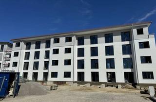 Wohnung mieten in Magnolienweg, 86641 Rain, Neubau vollmöbliertes Appartement mit Südbalkon