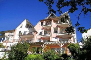 Haus kaufen in 56859 Bullay, Zwei Häuser, 13 Ferienwohnungen, unverbaubarer Moselblick – etablierter Betrieb mit ca. 8 % Rendite