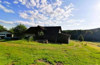 Bauernhaus kaufen in 94545 Hohenau, Bauernhaus mit zwie Bauplätzen - gültige Bauvoranfrage liegt vor!