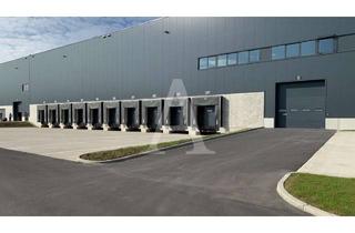 Gewerbeimmobilie mieten in 50354 Hürth, PROVISIONSFREI | LOGISTIKHALLE IN HÜRTH | HOCHMODERN | MIETERSPEZIFISCH | ANGERMANN NRW