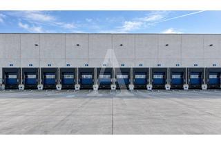 Gewerbeimmobilie mieten in 50226 Frechen, LOGISTIKHALLE IN FRECHEN | MIETE | TEILBAR | RAMPE & EBENERDIG | ANGERMANN NRW