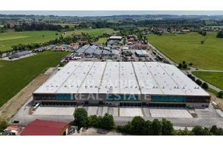 Gewerbeimmobilie mieten in 87452 Altusried, Sofort Verfügbare Logistikneubauhalle in direkter Autobahnlage