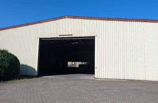 Gewerbeimmobilie mieten in Albert-Schweitzer-Straße 54, 76703 Kraichtal, Effizient nutzbar: Lagerhalle mit 537 m² ab 01.01.27 zu vermieten