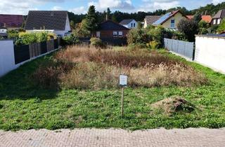 Grundstück zu kaufen in Nieberstraße 10, 06774 Burgkemnitz, Baulücke im Grünen statt Neubaugebiet mit Baulärm535 m² in ruhiger Ortsrandlage in Burgkemnitz