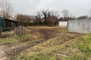 Grundstück zu kaufen in Soderweg 11, 67489 Kirrweiler, Wohn- und Gewerbegrundstück in ruhiger Lage