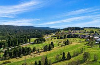 Grundstück zu kaufen in 94158 Philippsreut, Baugrundstück im Herzen von Philippsreut – Platz für dein Zuhause im Bayerischen Wald