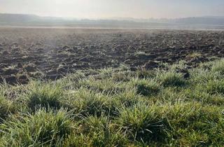Gewerbeimmobilie kaufen in 17237 Kratzeburg, 4,8 ha Landwirtschaftsfläche im LK Mecklenburg-Strelitz!