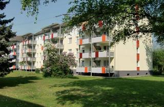 Wohnung mieten in Okerstr., 51371 Rheindorf, renovierte 2-Zimmer-Wohnung mit Balkon in Rheindorf mit Balkon ins Grüne!