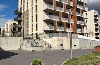 Wohnung mieten in Steinstraße 43, 21502 Geesthacht, Hochwertige 3-Zimmerwohnung mit direktem Elbblick