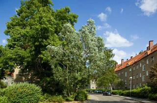 Wohnung mieten in Hallichpromenade, 13437 Wittenau, ideale Erstwohnung für Singles