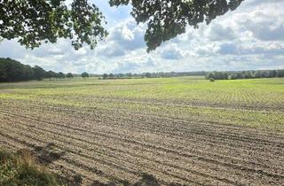 Immobilie kaufen in 23911 Ziethen, 15,4 Hektar sehr gutes Ackerland in Ziethen bei Ratzeburg