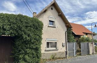 Einfamilienhaus kaufen in 55234 Biebelnheim, Einfamilienhaus mit viel Potenzial