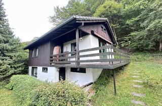 Haus kaufen in 35689 Dillenburg, Eibach: Gemütliches Ferienhaus im Wochenendgebiet