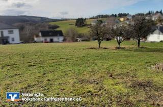 Immobilie kaufen in 54426 Schönberg, Baugrundstücke in Schönberg (Hunsrück)